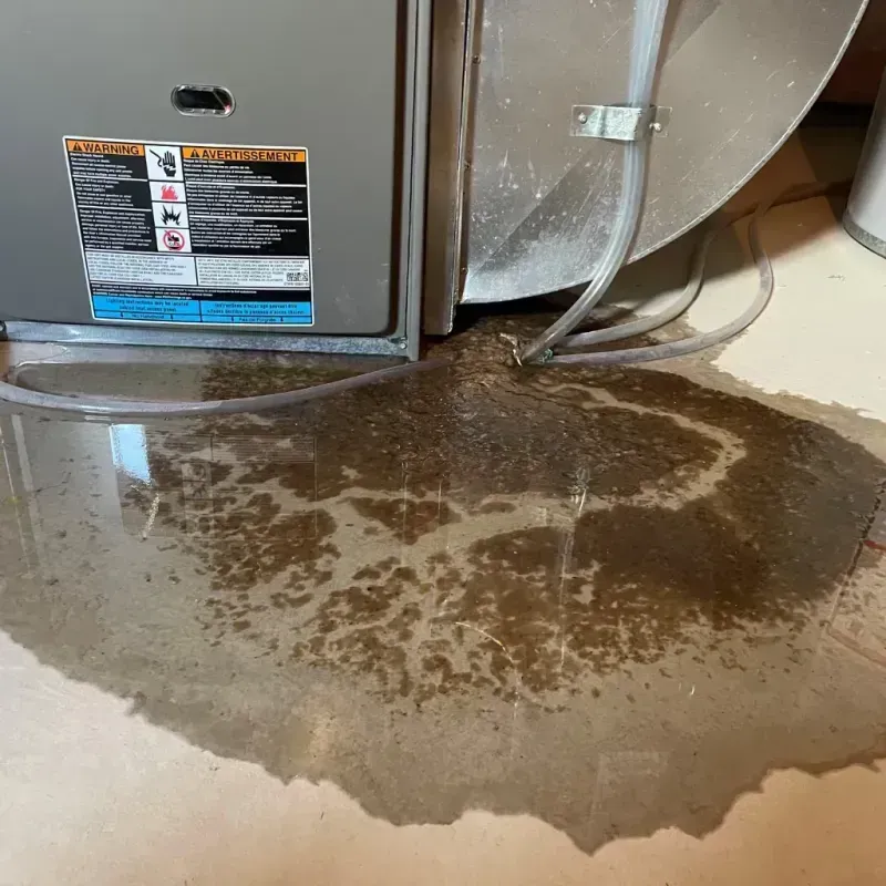 Appliance Leak Cleanup in Saint Simons Island, GA